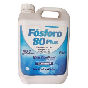 فسفر 80 ایکس گرین
