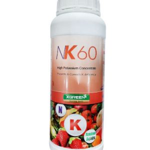 ان کا 60 ایکس گرین